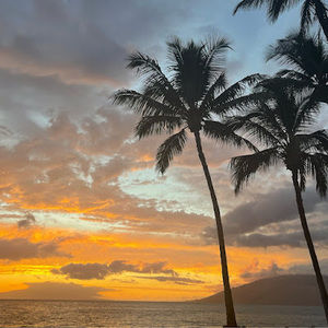 Meet your Posher, Cady